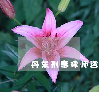 丹东刑事律师咨询电话 丹东刑事律师咨询电话