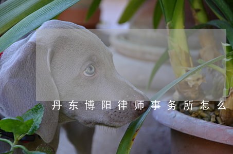 丹东博阳律师事务所怎么样 丹东博阳律师事务所怎么样