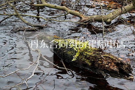 丹东合同纠纷律师电话 丹东合同纠纷律师电话