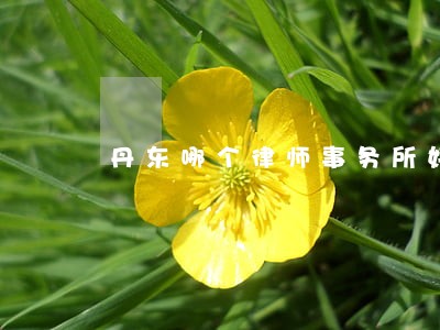 丹东哪个律师事务所好一些