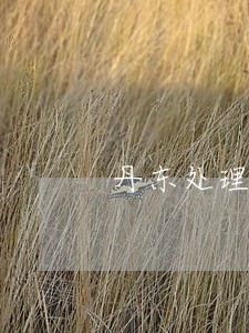 丹东处理家暴法律问题律师 丹东处理家暴法律问题律师