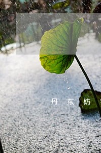 丹东妨害公务罪律师收费 丹东妨害公务罪律师收费