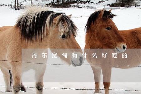 丹东宽甸有什么好吃的 丹东宽甸有什么好吃的