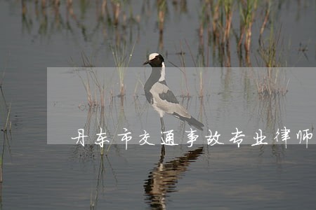 丹东市交通事故专业律师 丹东市交通事故专业律师