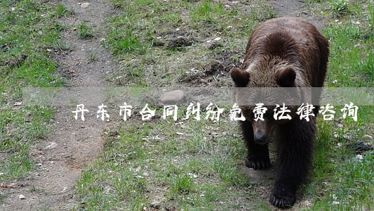 丹东市合同纠纷免费法律咨询 丹东市合同纠纷免费法律咨询