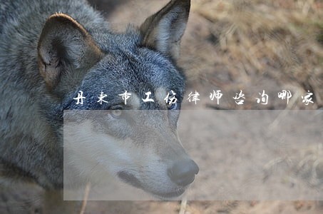 丹东市工伤律师咨询哪家好 丹东市工伤律师咨询哪家好