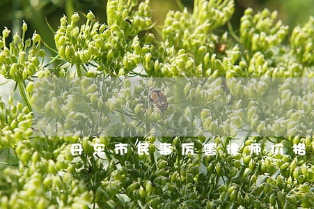 丹东市民事厉害律师价格 丹东市民事厉害律师价格