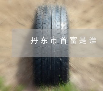 丹东市首富是谁 丹东市首富是谁
