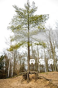 丹东房产纠纷律师排名 丹东房产纠纷律师排名