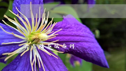 丹东政务服务网 丹东政务服务网