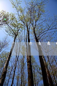 丹东最好的追债律师 丹东最好的追债律师