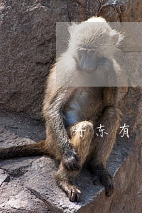 丹东有单身微信群吗 丹东有单身微信群吗