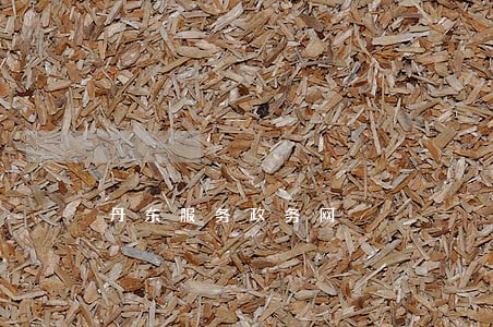 丹东服务政务网 丹东服务政务网