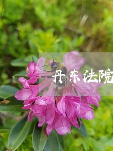 丹东法院公开开庭法官不见了 丹东法院公开开庭法官不见了