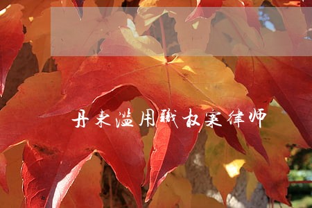 丹东滥用职权案律师