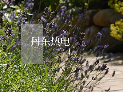 丹东热电 丹东热电
