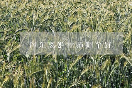 丹东离婚律师哪个好 丹东离婚律师哪个好
