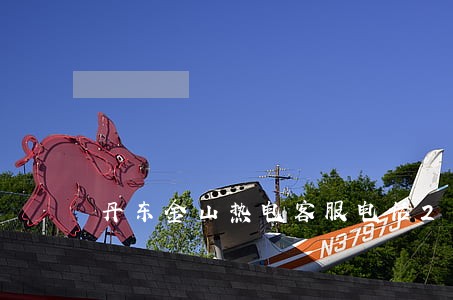 丹东金山热电客服电话2018 丹东金山热电客服电话2018