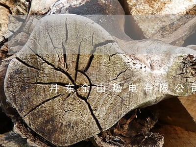 丹东金山热电有限公司 丹东金山热电有限公司