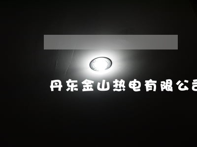 丹东金山热电有限公司是国企吗 丹东金山热电有限公司是国企吗