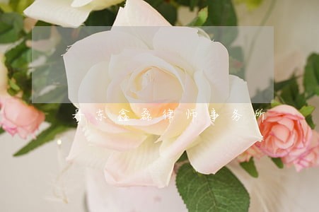 丹东鑫磊律师事务所 丹东鑫磊律师事务所