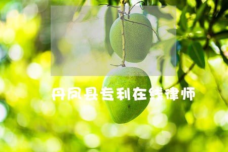 丹凤县专利在线律师 丹凤县专利在线律师