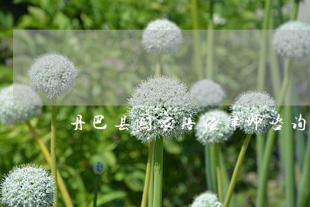 丹巴县国家赔偿律师咨询电话 丹巴县国家赔偿律师咨询电话