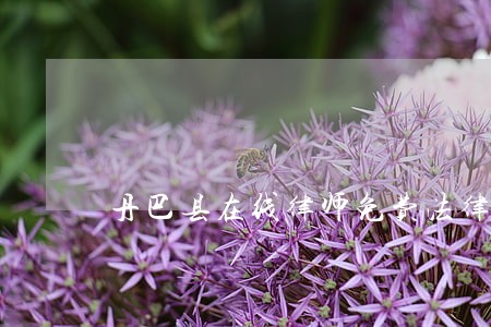 丹巴县在线律师免费法律咨询 丹巴县在线律师免费法律咨询