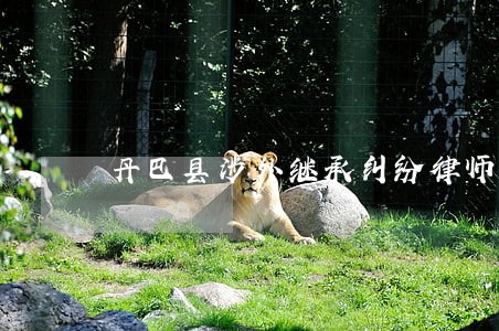 丹巴县涉外继承纠纷律师 丹巴县涉外继承纠纷律师