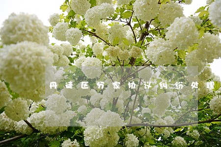 丹徒区分家协议纠纷处理律师 丹徒区分家协议纠纷处理律师