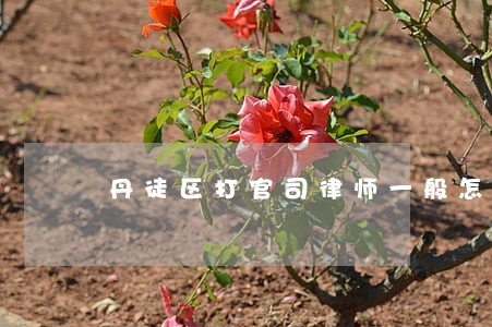 丹徒区打官司律师一般怎么收费 丹徒区打官司律师一般怎么收费