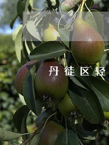 丹徒区轻伤赔偿纠纷律师