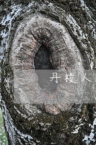 丹棱人民法院春节放假时间 丹棱人民法院春节放假时间