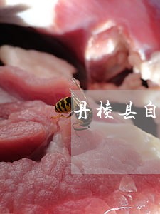 丹棱县自然资源免费法律咨询热线 丹棱县自然资源免费法律咨询热线