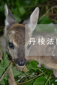 丹棱法院拍卖公告 丹棱法院拍卖公告