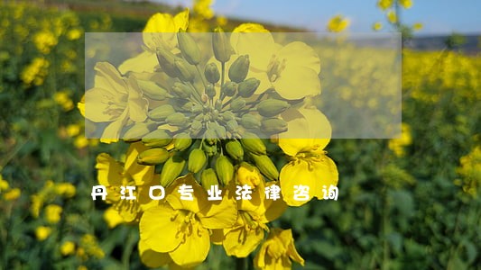 丹江口专业法律咨询 丹江口专业法律咨询