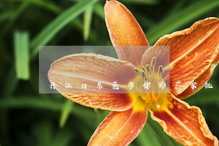 丹江口东莞市律师厂家批发价格 丹江口东莞市律师厂家批发价格