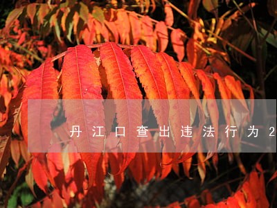 丹江口查出违法行为2起
