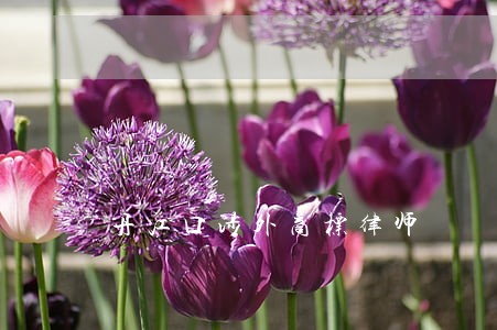 丹江口涉外商标律师 丹江口涉外商标律师