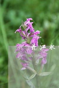 丹江永新律师 丹江永新律师