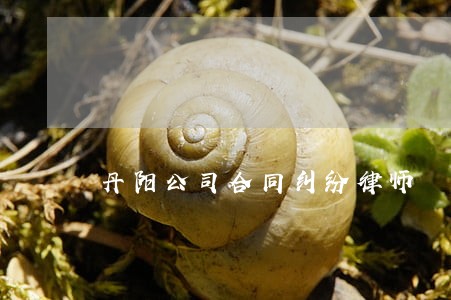 丹阳公司合同纠纷律师 丹阳公司合同纠纷律师