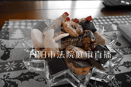 丹阳市法院庭审直播