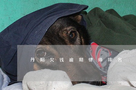 丹阳欠钱逾期律师排名 丹阳欠钱逾期律师排名