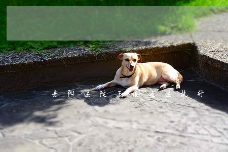 丹阳法院王俊违法执行 丹阳法院王俊违法执行