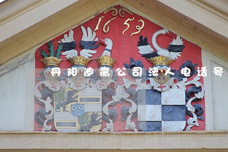丹阳迪高公司法人电话号码 丹阳迪高公司法人电话号码