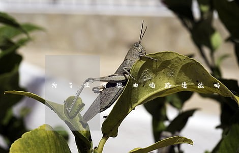 为了任何理由堵路违法吗 为了任何理由堵路违法吗