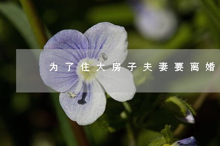 为了住大房子夫妻要离婚 为了住大房子夫妻要离婚
