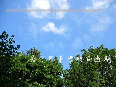 为了兄弟借网贷逾期