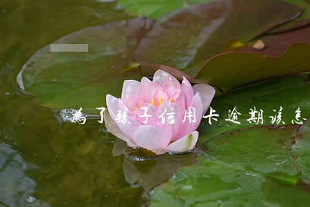 为了孩子信用卡逾期该怎么办