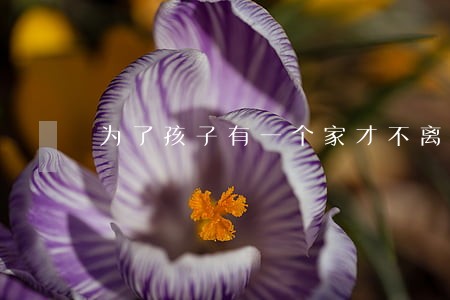 为了孩子有一个家才不离婚 为了孩子有一个家才不离婚
